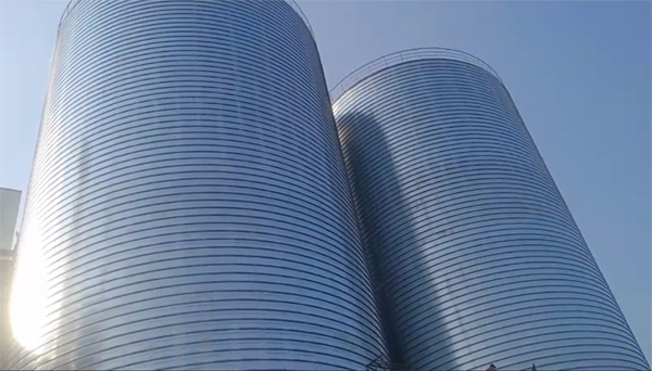 宁乡2座混凝土高架卷板仓